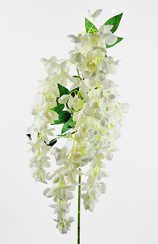 Picture of Artificial Wisteria/ Hanging Orchid Ivory 110cm